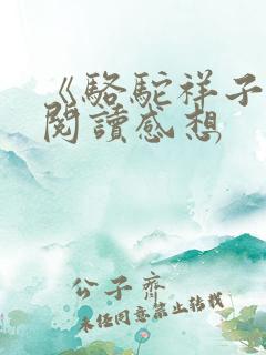《骆驼祥子》的阅读感想