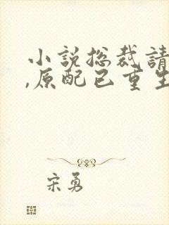 小说总裁请勿扰,原配已重生