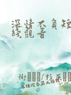 深情不负短剧在线观看