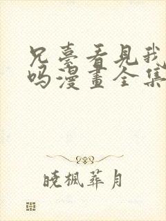 兄台看见我弟了吗漫画全集免费阅读