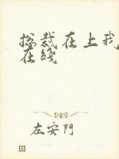 总裁在上我在下在线