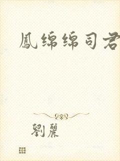 凤绵绵司君小说