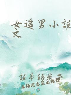 女追男小说甜宠文