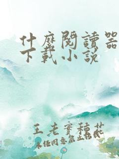 什么阅读器可以下载小说