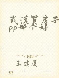 武汉买房子的app哪个好