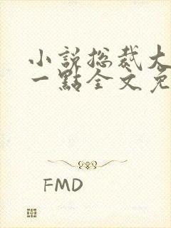 小说总裁大人轻一点全文免费阅读