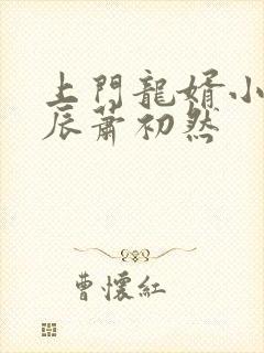 上门龙婿小说叶辰萧初然