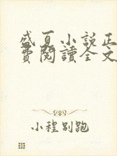 盛夏小说正版免费阅读全文无弹窗