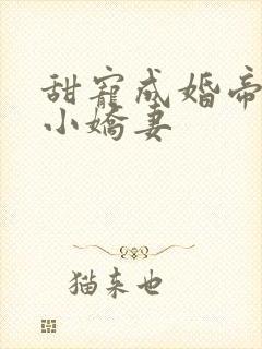 甜宠成婚帝少的小娇妻