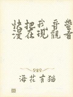 快把我哥带走动漫在现观看