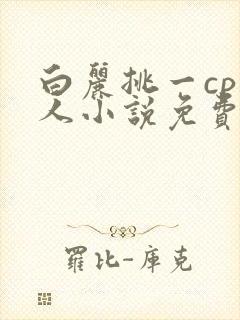 白丽挑一cp同人小说免费阅读