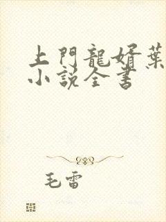 上门龙婿叶辰的小说全书