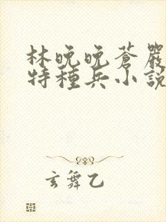 林晚晚苍严三个特种兵小说