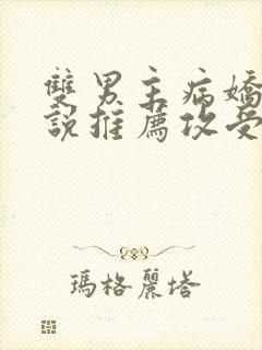 双男主病娇文小说推荐攻受文完结