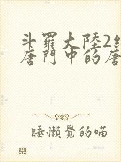 斗罗大陆2绝世唐门中的唐雅