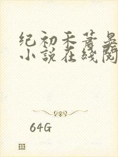 纪初禾萧晏安的小说在线阅读