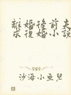 离婚后前夫哭着求复婚小说免费版