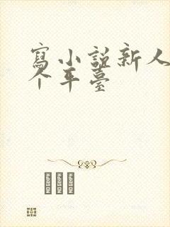 写小说新人去哪个平台