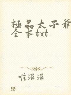极品太子爷下载全本txt