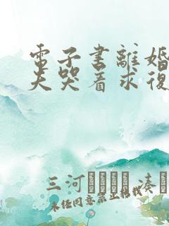 电子书离婚后前夫哭着求复婚