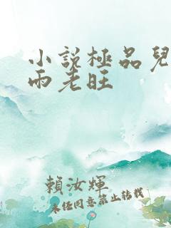 小说极品儿媳秦雨老旺