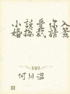 小说爱你入骨隐婚总裁请签字