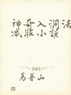 神奇入洞法无删减版小说