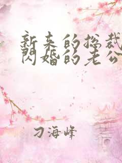 新来的总裁竟是闪婚的老公小说