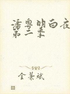 潘粤明白夜追凶第二季