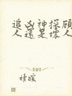 追凶神探顾忧好人还是坏人