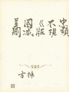 美国《不忠》未删减版视频