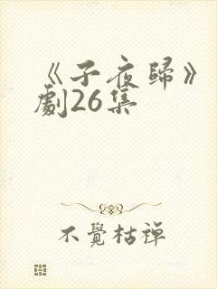 《子夜归》电视剧26集