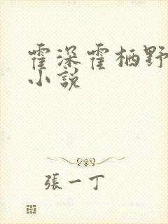 霍深霍栖野夏稚小说