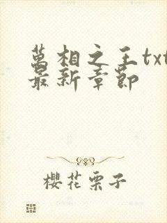 万相之王txt最新章节