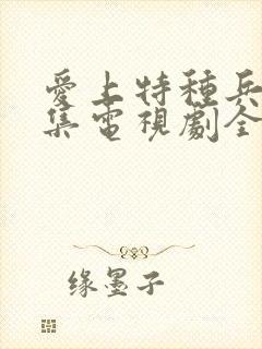 爱上特种兵40集电视剧全集免费