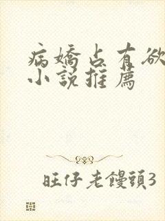 病娇占有欲强的小说推荐