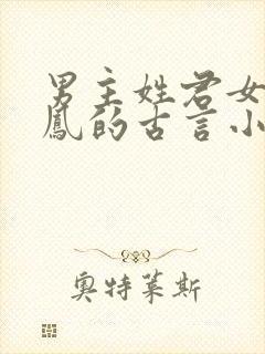 男主姓君女主姓凤的古言小说