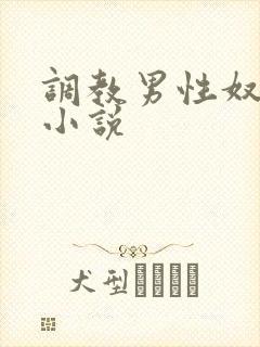 调教男性奴尿孔小说