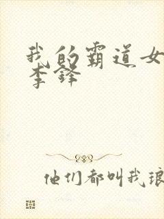 我的霸道女总裁李锋