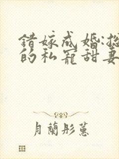 错嫁成婚:总裁的私宠甜妻 风亭