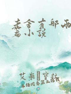 老舍有哪两篇长篇小说