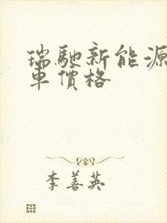 瑞驰新能源面包车价格