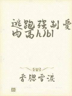 逃跑强制爱(巨肉高h)bl
