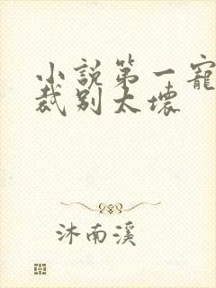 小说第一宠婚总裁别太坏