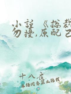 小说 《总裁请勿扰,原配己重生》