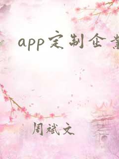 app定制企业