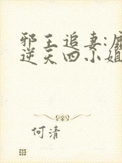 邪王追妻:废材逆天四小姐