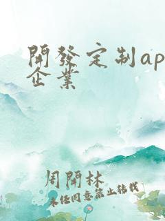 开发定制app企业