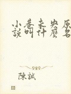 小巷未央原著小说叫什么名字