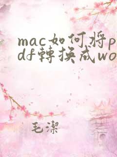 mac如何将pdf转换成word文档